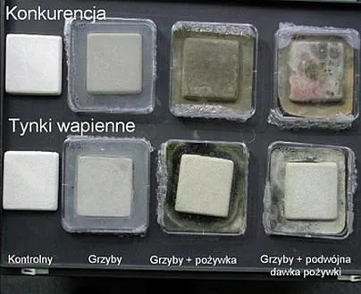 Izolacja akustyczna i termiczna